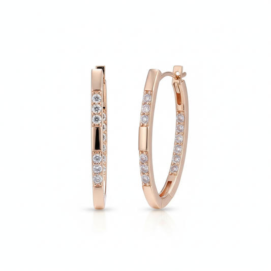 Exquisite Zirconia Earrings | Gold 16k